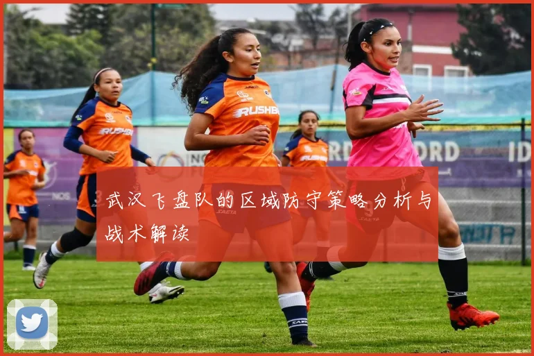 武汉飞盘队的区域防守策略分析与战术解读