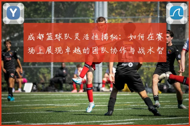 成都篮球队灵活性揭秘：如何在赛场上展现卓越的团队协作与战术智慧